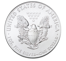 2020 American Silver Eagle Commemorative Coin