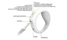 PETKIT™️ Smart Dog Leash