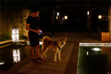 PETKIT™️ Smart Dog Leash