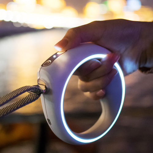 PETKIT™️ Smart Dog Leash