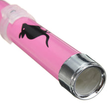 Cat Toy Laser Pointer