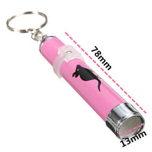 Cat Toy Laser Pointer